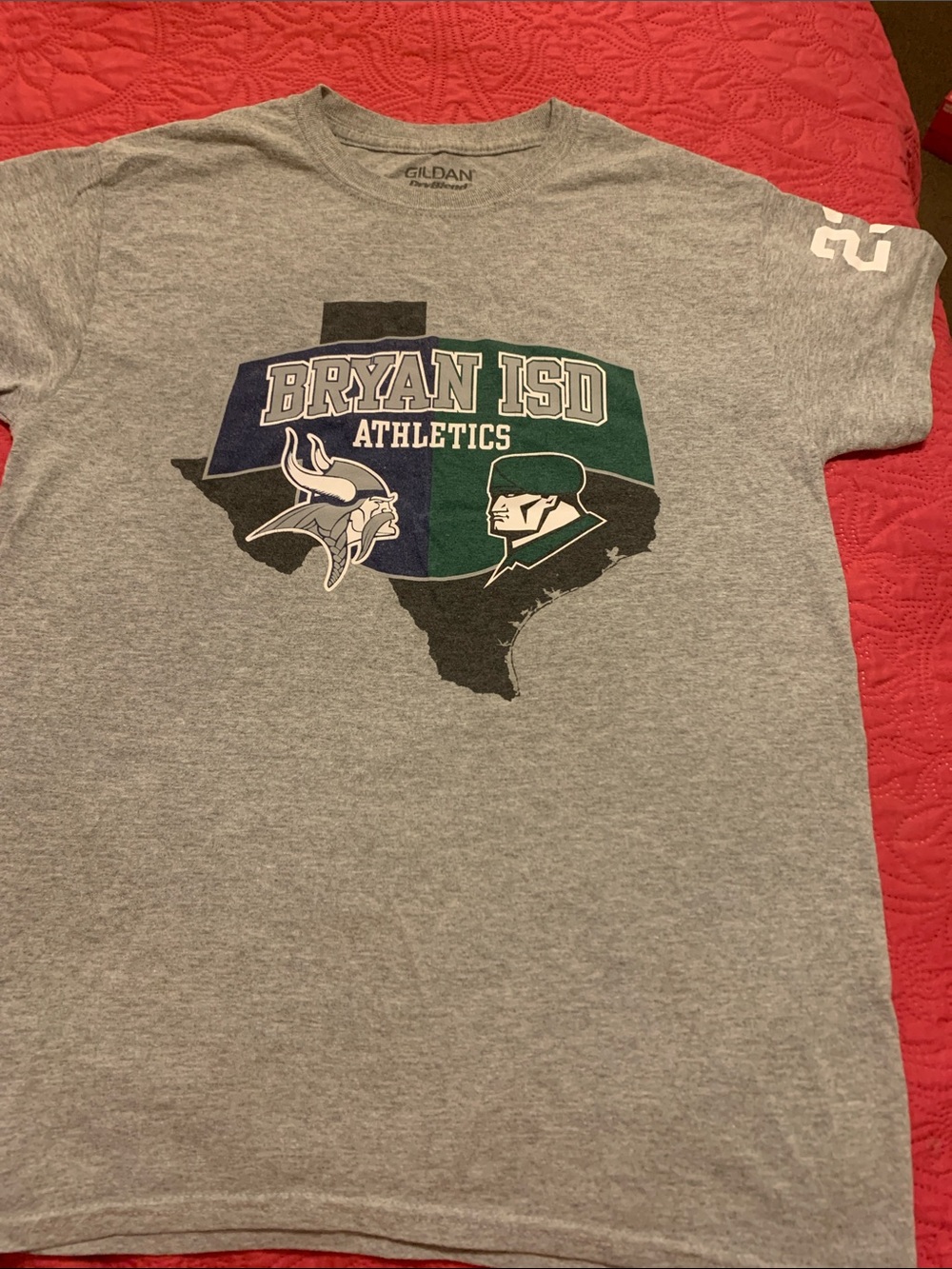 Gildan Gray Bryan ISD Athletics Tee with Green & Blue Graphics